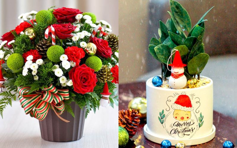 bí quyết chọn hoa cho mùa giáng sinh noel trong phòng khách