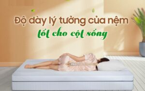 nệm cao cấp bảo vệ và nâng đỡ cột sống tốt hơn